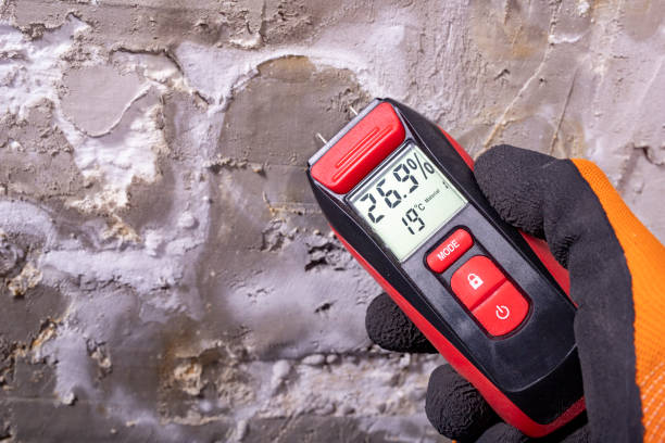 Best Mold Cleaning Services  in Vley, AL