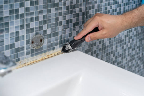 Best Home Mold Removal  in Vley, AL